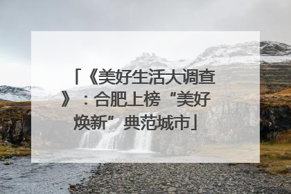 《美好生活大调查》：合肥上榜“美好焕新”典范城市