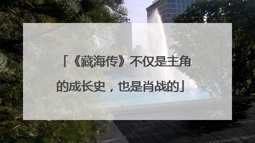 《藏海传》不仅是主角的成长史，也是肖战的
