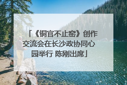 《铜官不止窑》创作交流会在长沙政协同心园举行 陈刚出席