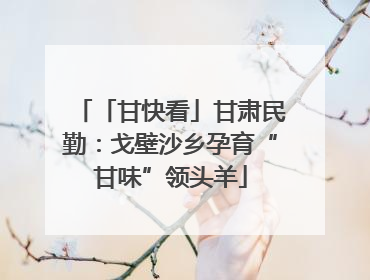 「甘快看」甘肃民勤：戈壁沙乡孕育“甘味”领头羊