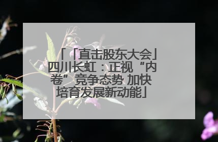 「直击股东大会」四川长虹：正视“内卷”竞争态势 加快培育发展新动能