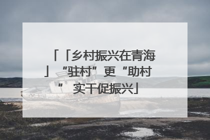 「乡村振兴在青海」“驻村”更“助村” 实干促振兴