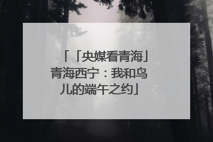 「央媒看青海」青海西宁：我和鸟儿的端午之约