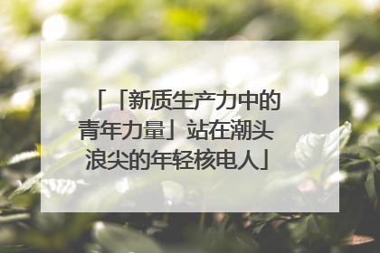 「新质生产力中的青年力量」站在潮头浪尖的年轻核电人