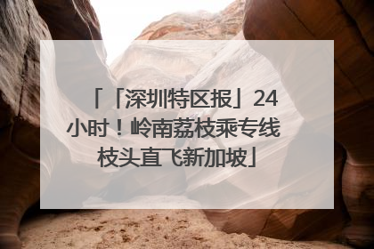 「深圳特区报」24小时！岭南荔枝乘专线 枝头直飞新加坡