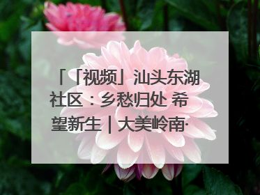 「视频」汕头东湖社区：乡愁归处 希望新生｜大美岭南·百村焕新记