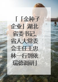 「金种子企业」湖北省委书记、省人大常委会主任王忠林一行到依瑞德调研