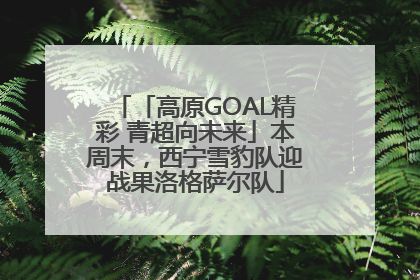 「高原GOAL精彩 青超向未来」本周末，西宁雪豹队迎战果洛格萨尔队