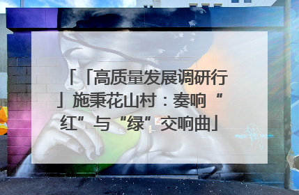 「高质量发展调研行」施秉花山村：奏响“红”与“绿”交响曲