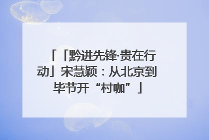 「黔进先锋·贵在行动」宋慧颖：从北京到毕节开“村咖”