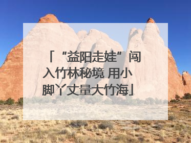 “益阳走娃”闯入竹林秘境 用小脚丫丈量大竹海
