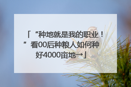 “种地就是我的职业！”看00后种粮人如何种好4000亩地→