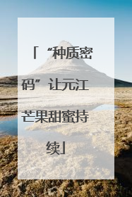 “种质密码”让元江芒果甜蜜持续