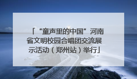 “童声里的中国”河南省文明校园合唱团交流展示活动（郑州站）举行