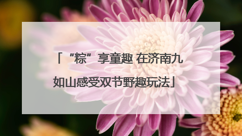 “粽”享童趣 在济南九如山感受双节野趣玩法