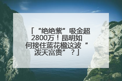 “绝绝紫”吸金超2800万！昆明如何接住蓝花楹这波“泼天富贵”？