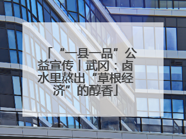 “一县一品”公益宣传丨武冈：卤水里熬出“草根经济”的醇香