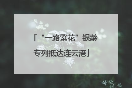 “一路繁花”银龄专列抵达连云港