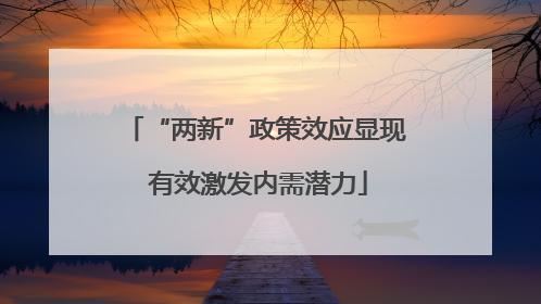 “两新”政策效应显现 有效激发内需潜力