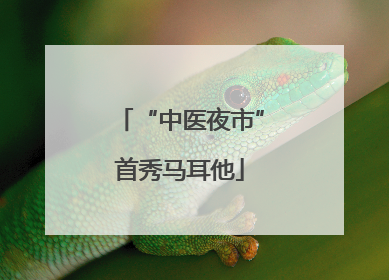 “中医夜市”首秀马耳他