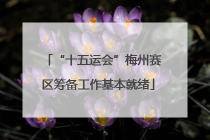 “十五运会”梅州赛区筹备工作基本就绪