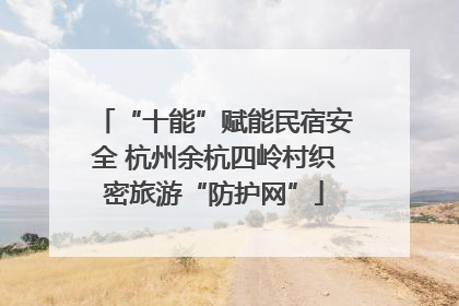 “十能”赋能民宿安全 杭州余杭四岭村织密旅游“防护网”
