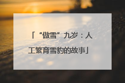 “傲雪”九岁：人工繁育雪豹的故事