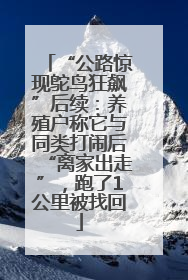 “公路惊现鸵鸟狂飙”后续：养殖户称它与同类打闹后“离家出走”，跑了1公里被找回
