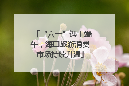 “六一”遇上端午，海口旅游消费市场持续升温