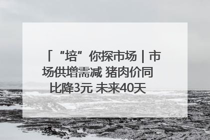 “培”你探市场｜市场供增需减 猪肉价同比降3元 未来40天便宜猪肉敞开吃