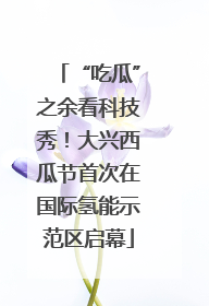 “吃瓜”之余看科技秀！大兴西瓜节首次在国际氢能示范区启幕