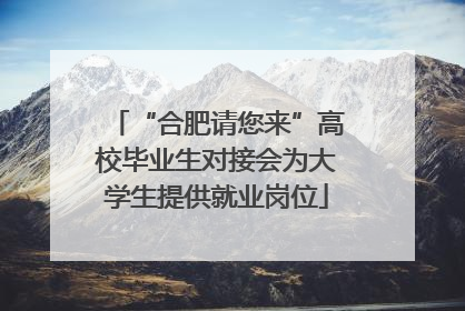 “合肥请您来”高校毕业生对接会为大学生提供就业岗位