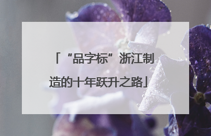 “品字标”浙江制造的十年跃升之路