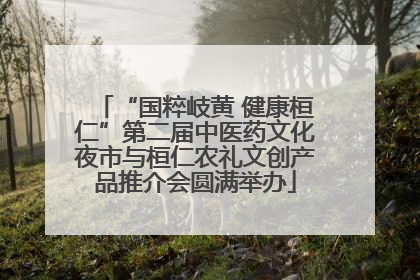 “国粹岐黄 健康桓仁”第二届中医药文化夜市与桓仁农礼文创产品推介会圆满举办