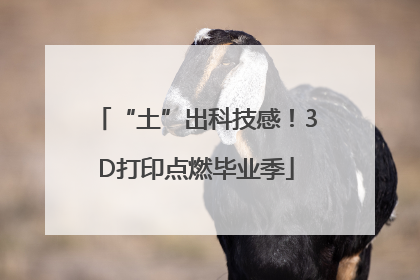 “土”出科技感！3D打印点燃毕业季