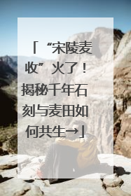 “宋陵麦收”火了！揭秘千年石刻与麦田如何共生→
