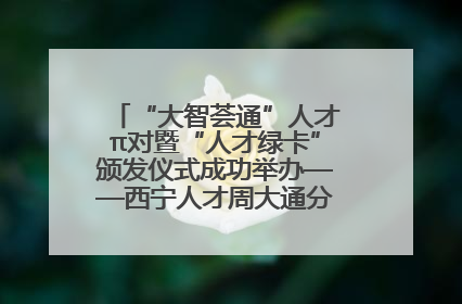 “大智荟通”人才π对暨“人才绿卡”颁发仪式成功举办——西宁人才周大通分会场亮点纷呈