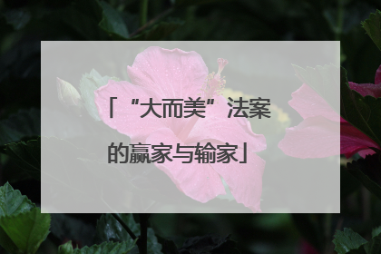 “大而美”法案的赢家与输家