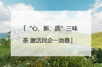 “心、新、质”三味茶 激活民企一池春