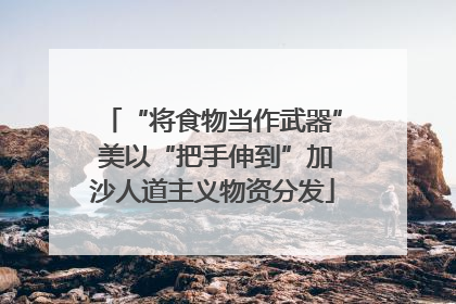 “将食物当作武器” 美以“把手伸到”加沙人道主义物资分发