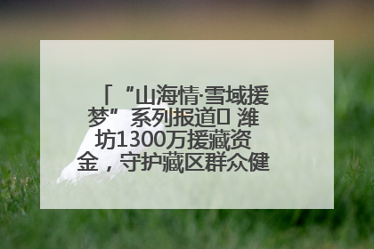 “山海情·雪域援梦”系列报道⑪ 潍坊1300万援藏资金，守护藏区群众健康“最后一公里”