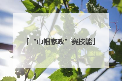 “巾帼家政”赛技能