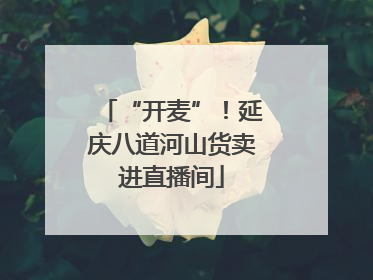 “开麦”！延庆八道河山货卖进直播间