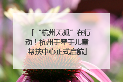 “杭州无孤”在行动！杭州手牵手儿童帮扶中心正式启航