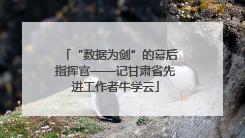 “数据为剑”的幕后指挥官——记甘肃省先进工作者牛学云