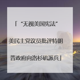 “无视美国宪法” 美民主党议员批评特朗普政府向洛杉矶派兵