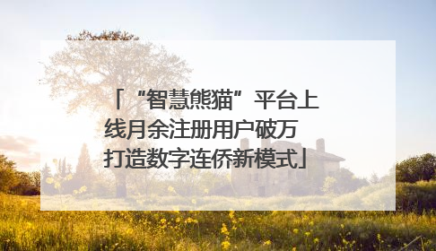 “智慧熊猫”平台上线月余注册用户破万 打造数字连侨新模式