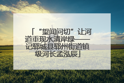 “望闻问切”让河道重现水清岸绿——记郓城县郓州街道镇级河长孟泓辰