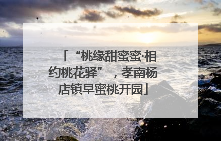 “桃缘甜蜜蜜·相约桃花驿”，孝南杨店镇早蜜桃开园