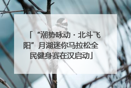 “潮势咏动・北斗飞阳”月湖迷你马拉松全民健身赛在汉启动